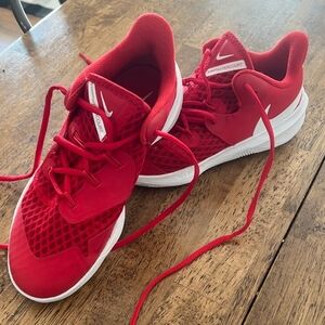 Nike Zoom Hyperspeed Court Shoes